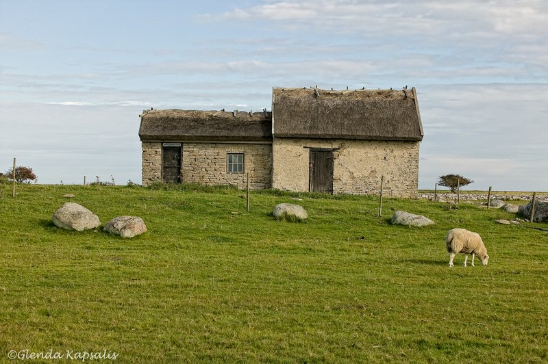 Farm2 Oland Sweden.jpg