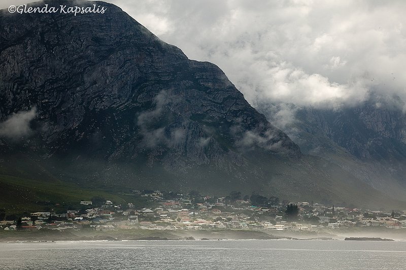 Gansbaii South Africa.jpg