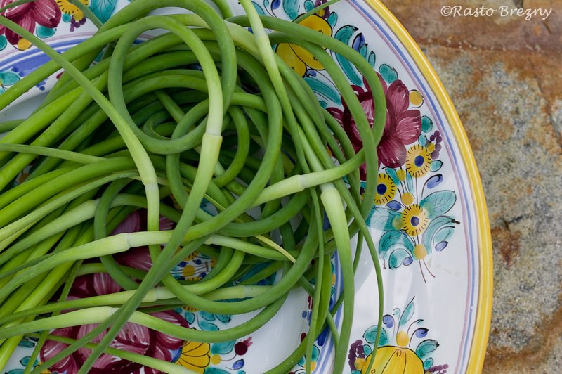 Garlic Scapes.jpg