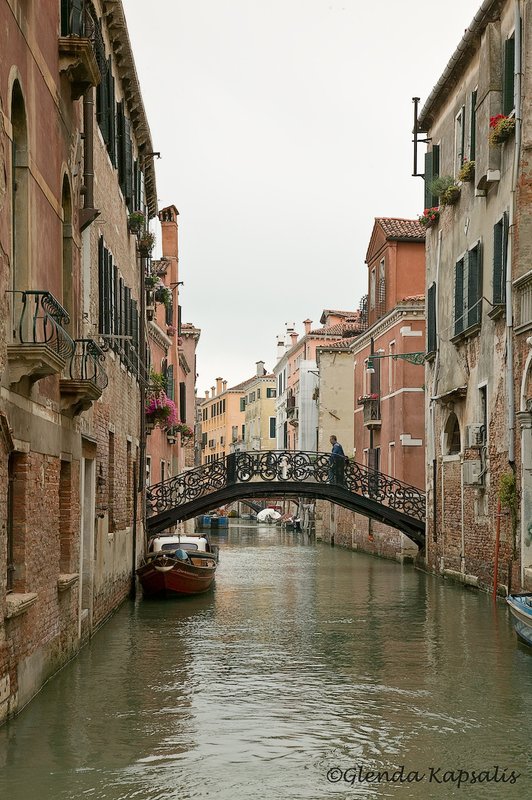Iron Bridge Venice.jpg