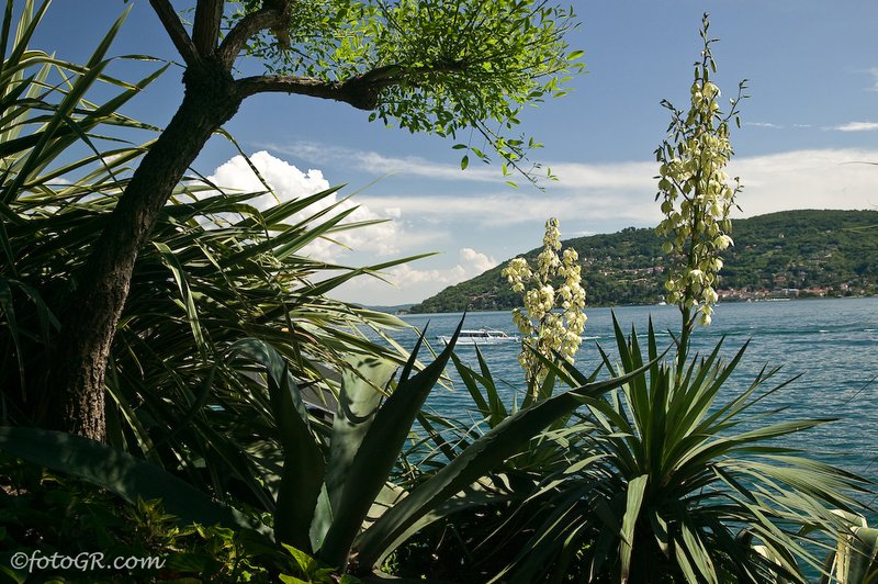 Isola Madre7 Lago Maggiore.jpg