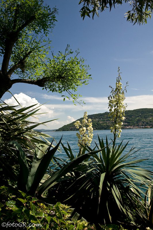 Isola Madre8 Lago Maggiore.jpg