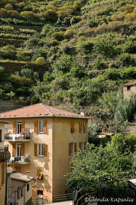 Manarola Cinque Terra5.jpg