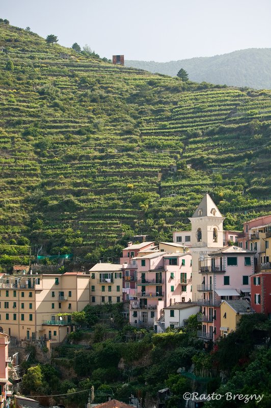 Manarola9 Cinque Terre.jpg