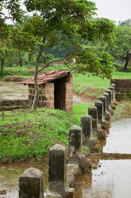 Monsoon Season in Goa.jpg