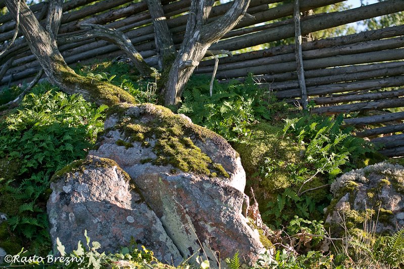 Moss Stensjo By Sweden.jpg