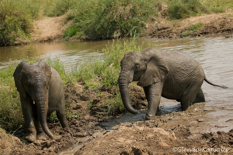 Mud Bath South Africa.jpg
