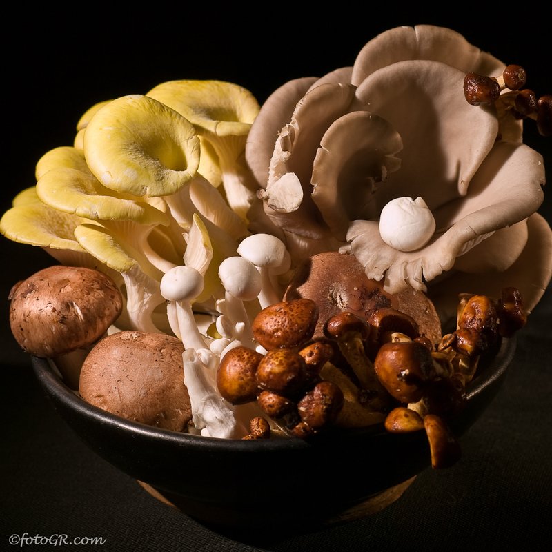 Mushroom Bouquet.jpg
