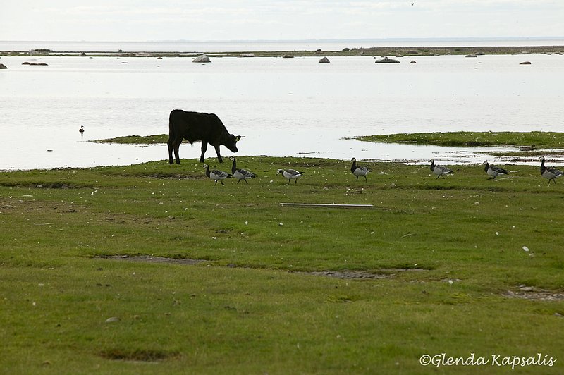 Oland Nature Preserve.jpg