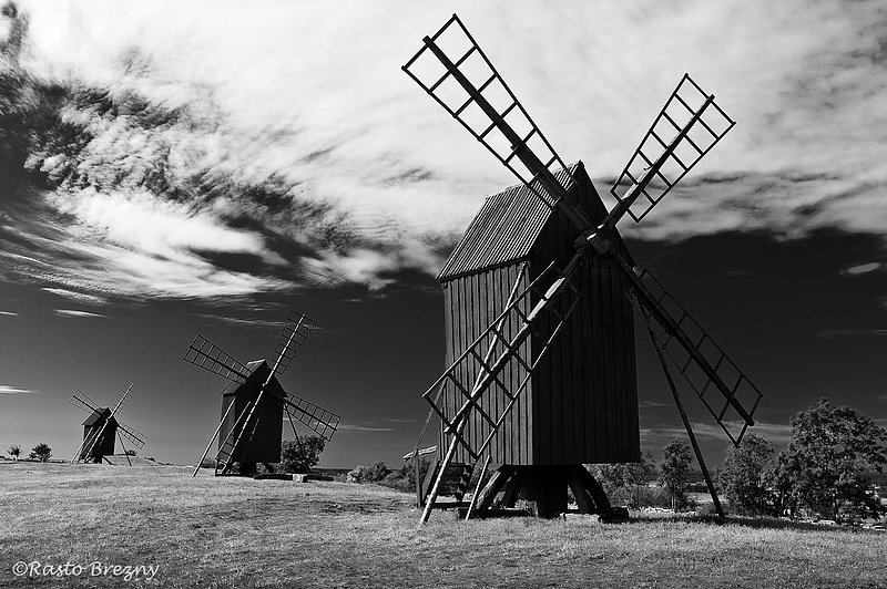 Oland_Windmills_SwedenBW1.jpg
