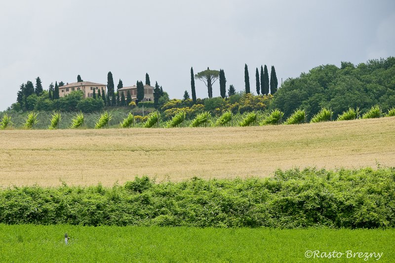 Pastoral Tuscany2.jpg