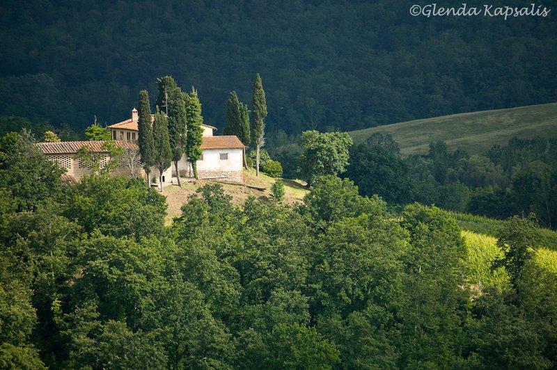 Pastoral Tuscany5.jpg