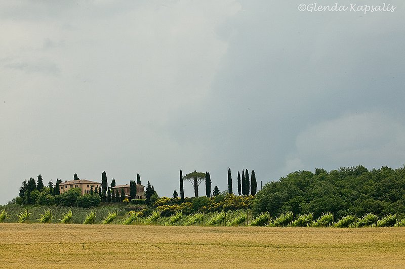 Pastoral Tuscany6.jpg