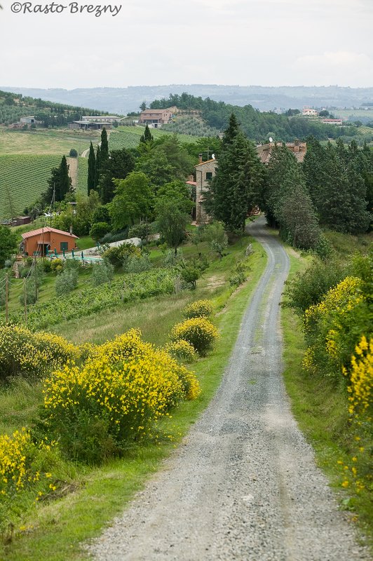 Path to San Gimignano.jpg