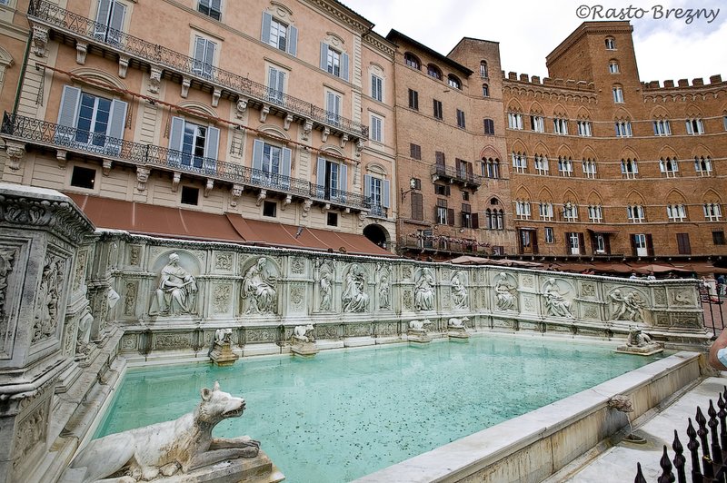 Piazza del Campo pool.jpg