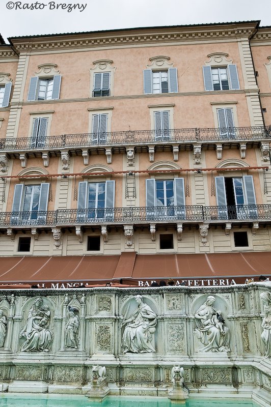 Piazza del Campo8 Siena.jpg