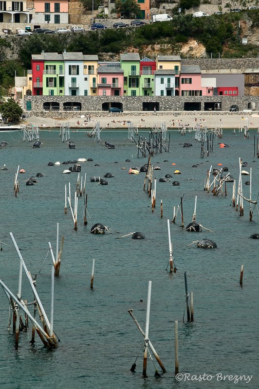 Portovenere Houses.jpg