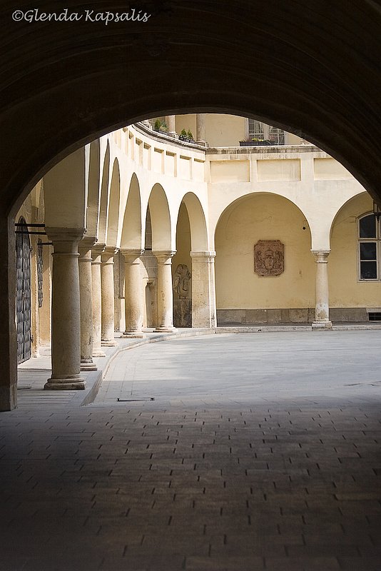 Primates Palace 3.jpg
