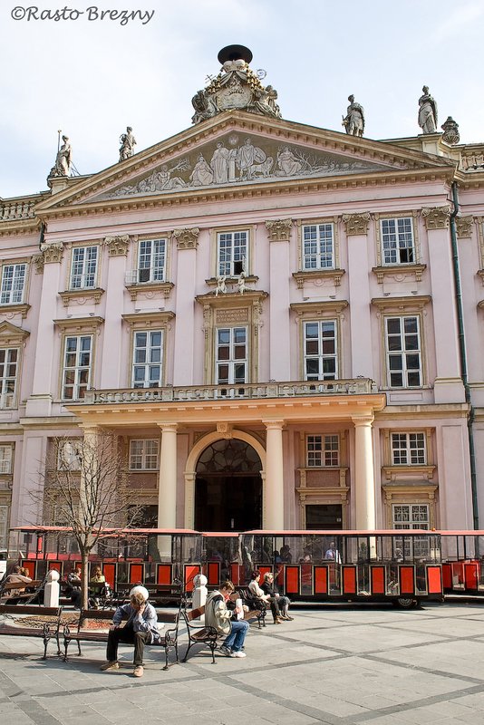 Primates Palace 4.jpg