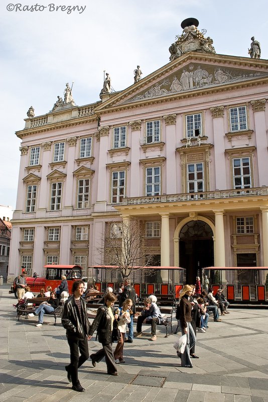 Primates Palace 5.jpg