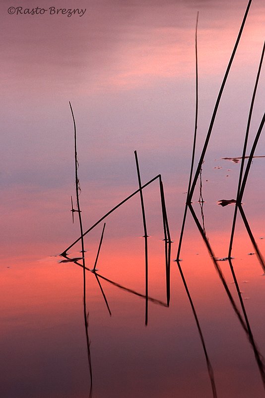 Pythagorean Dream1.jpg