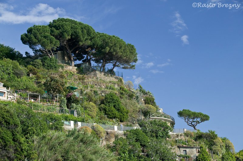 Riomaggiore Cinque Terre.jpg