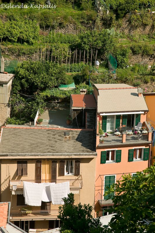 Riomaggiore14 Cinque Terre.jpg