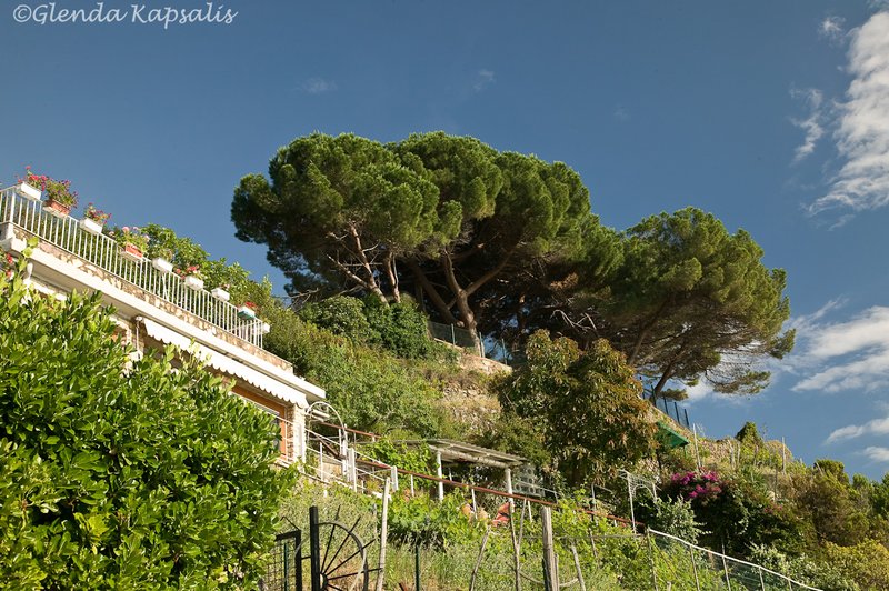 Riomaggiore8 Cinque Terre.jpg