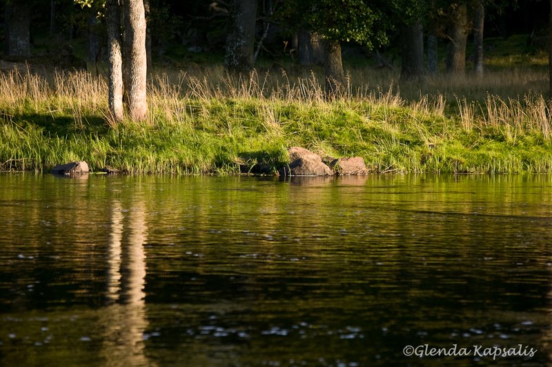 River Eastern Gotaland Sweden.jpg