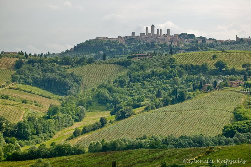 Rolling Hills Tuscany.jpg