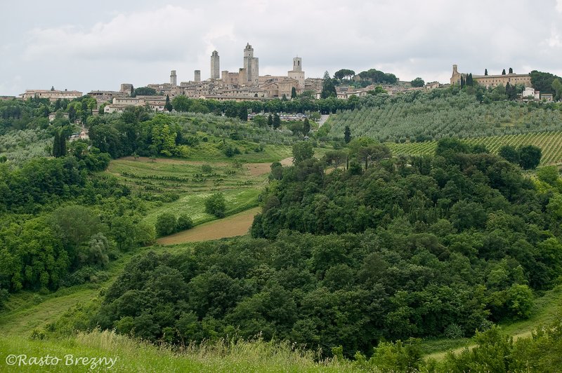 San Gimignano5 Tuscany.jpg