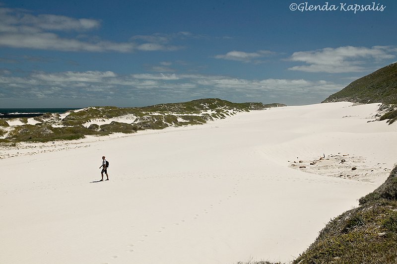 Sand Dunes Cape of Good Hope.jpg
