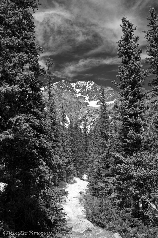 Snow_CreekBW.jpg
