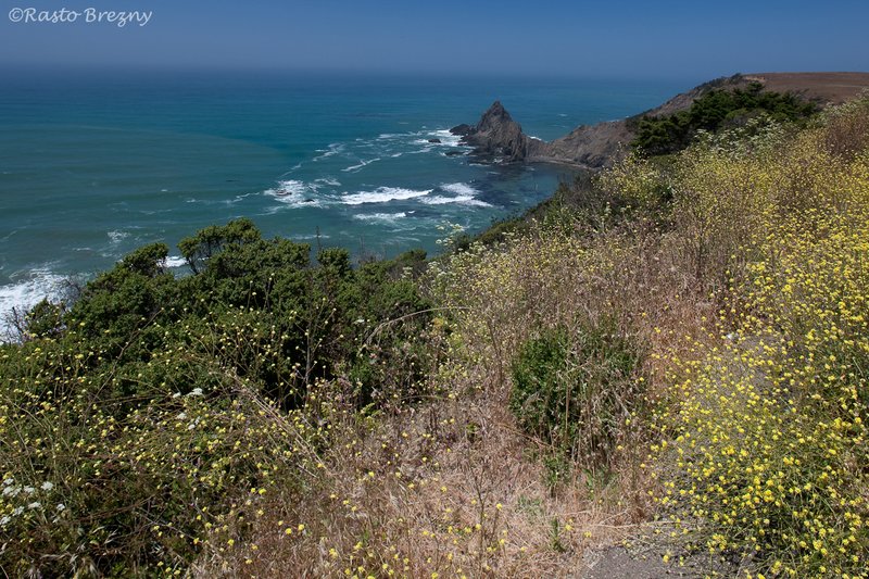 Sonoma Coast State Park.jpg