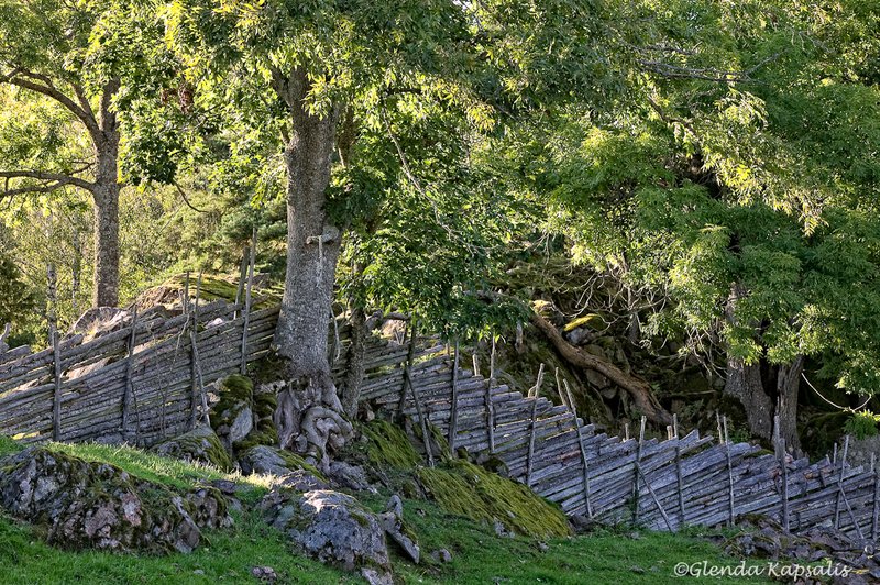 Stensjo By13 Sweden.jpg