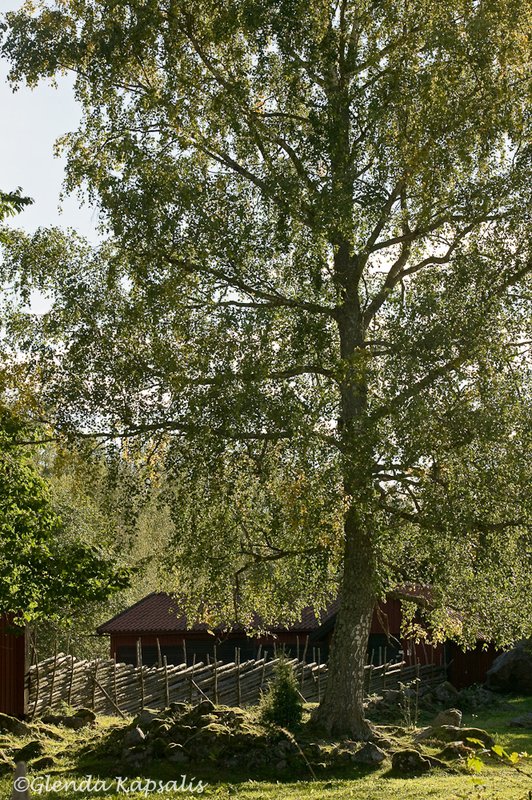 Stensjo By9 Sweden.jpg