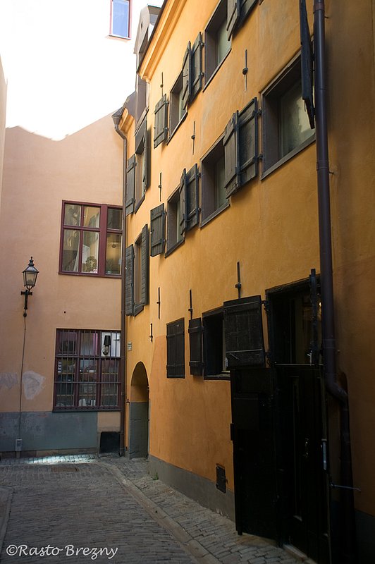 Stockholm Alley.jpg
