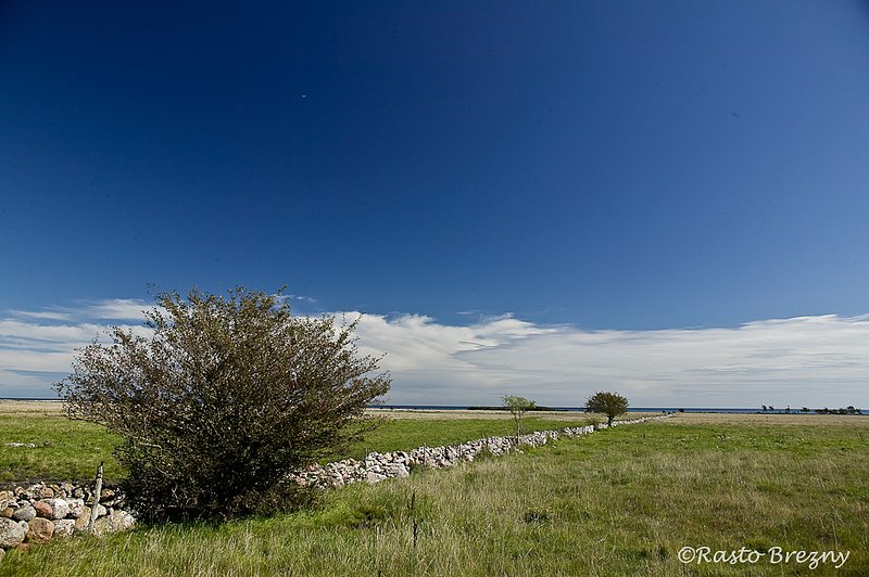 Stora Alvaret2 Oland Sweden.jpg