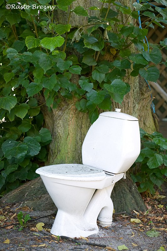 Throne Kalmar Sweden.jpg