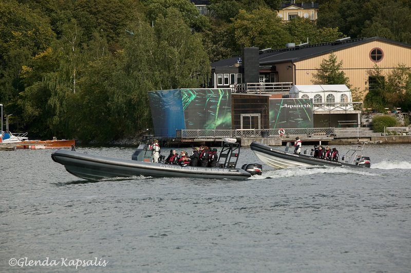 Training Run Stockholm.jpg