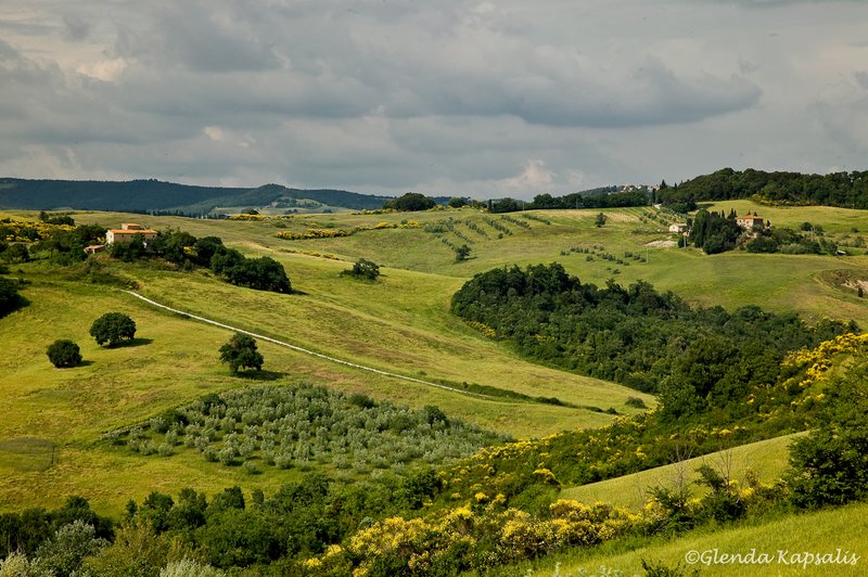 Tuscan Fields.jpg