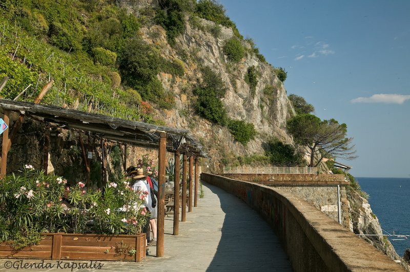 Via Amore Cinque Terre.jpg