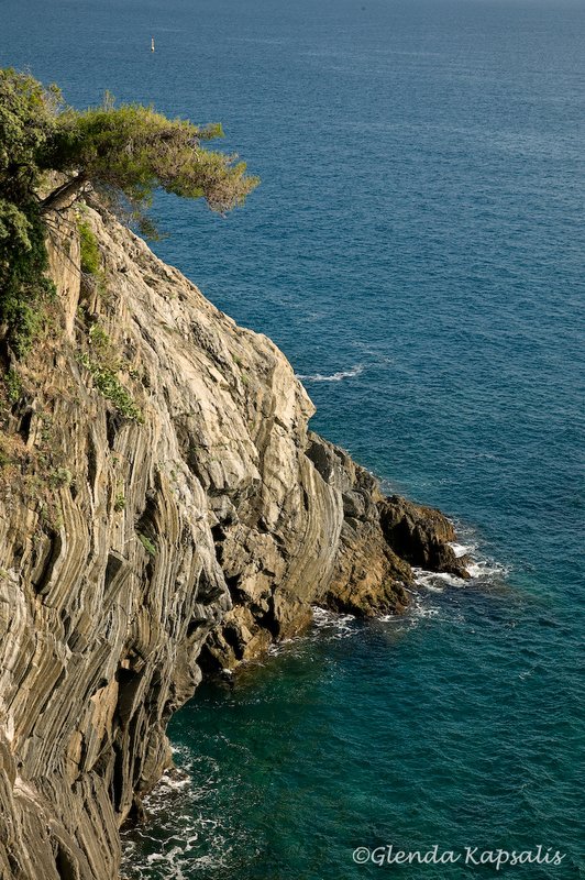 View from Via Amore Cinque Terre.jpg