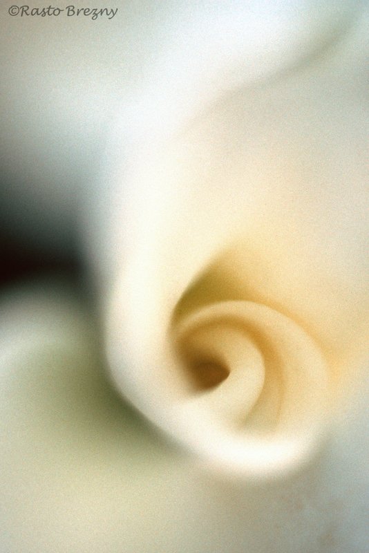 Vortex.jpg