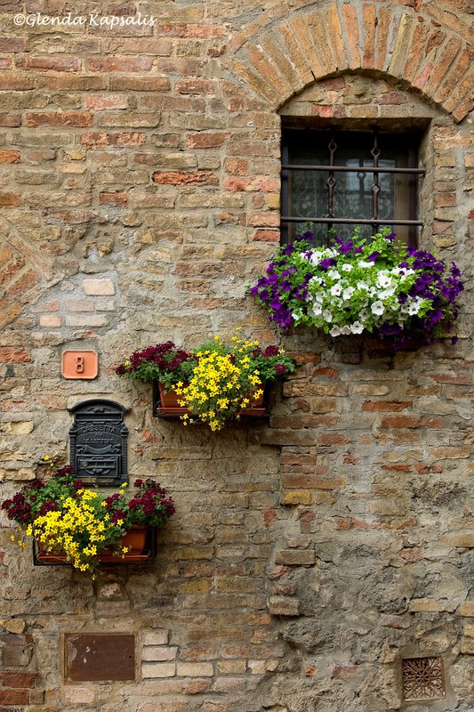 Wall of Flowers2 Tuscany.jpg