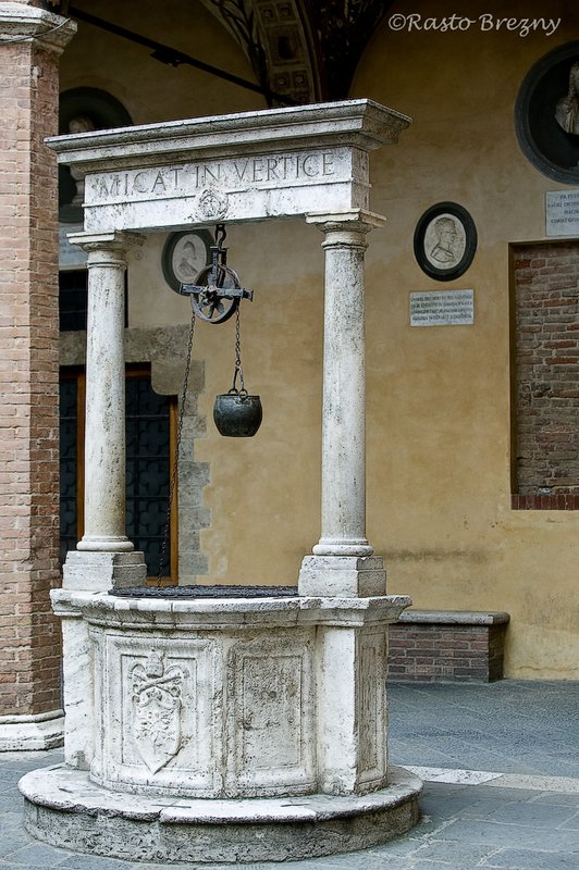 Well Siena.jpg