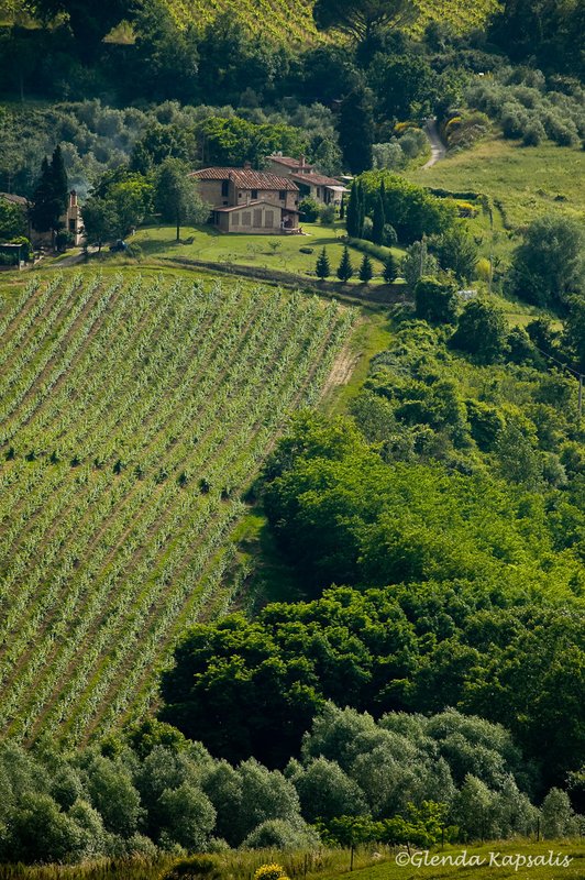 Winery2 Tuscany _.jpg