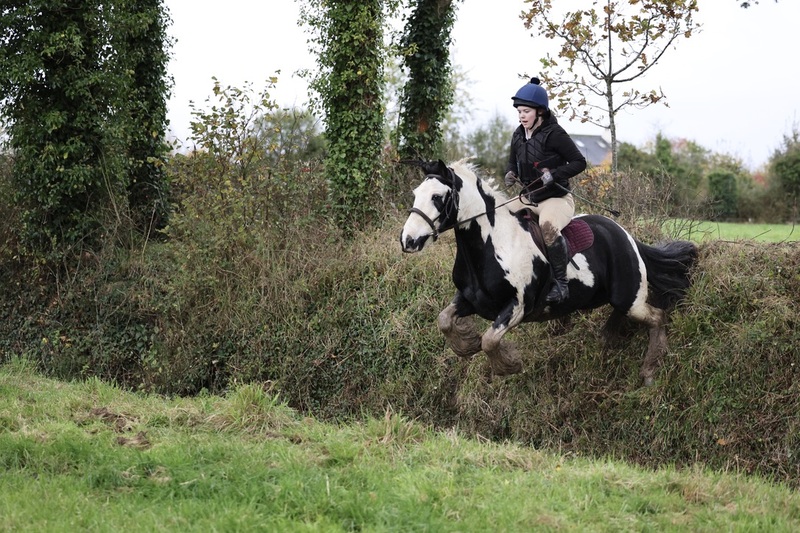 8292B389 Scarteen.jpg