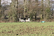 BA151253-ED70-45B2-958C-F348A357EDB8.jpg