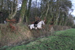 CC4DF9A7-75DB-4504-9709-654BE4DFBB92.jpg